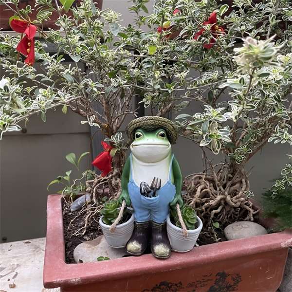 🔥HOT SALE🔥-🐸Resin Funny Frogs Garden Statue😂